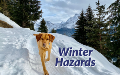 Winter Hazards