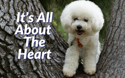 It’s All About The Heart