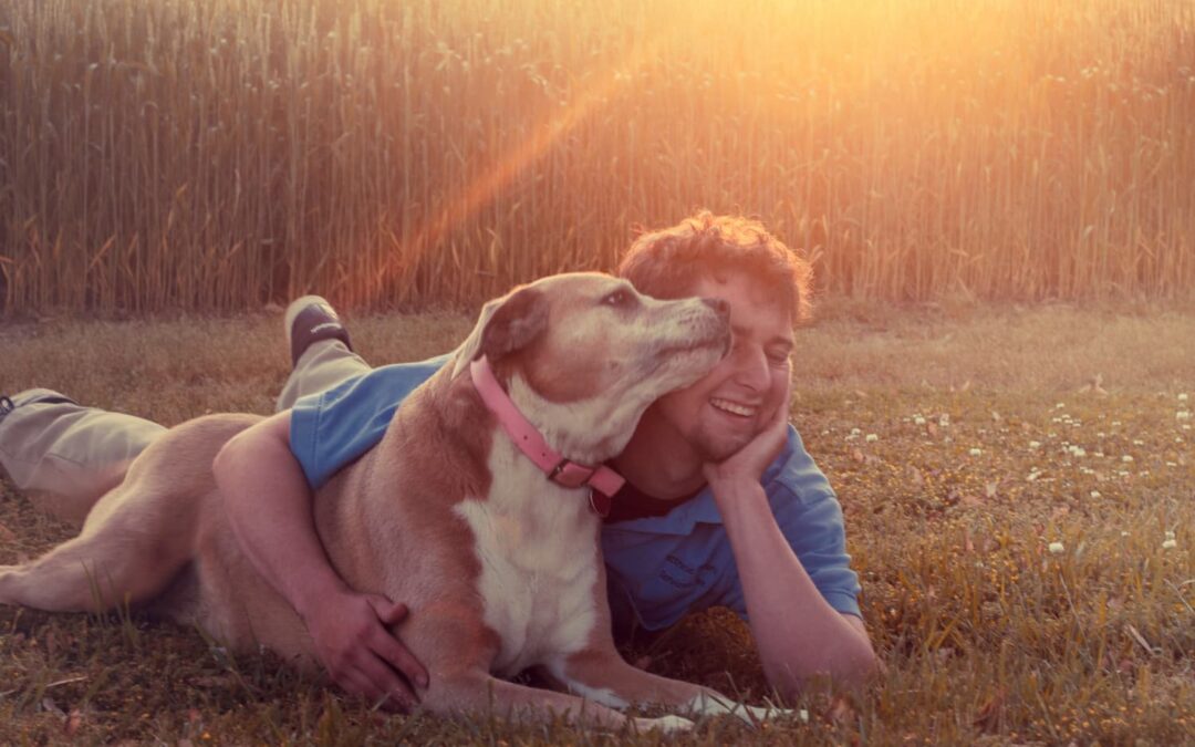 senior dog licking her owner