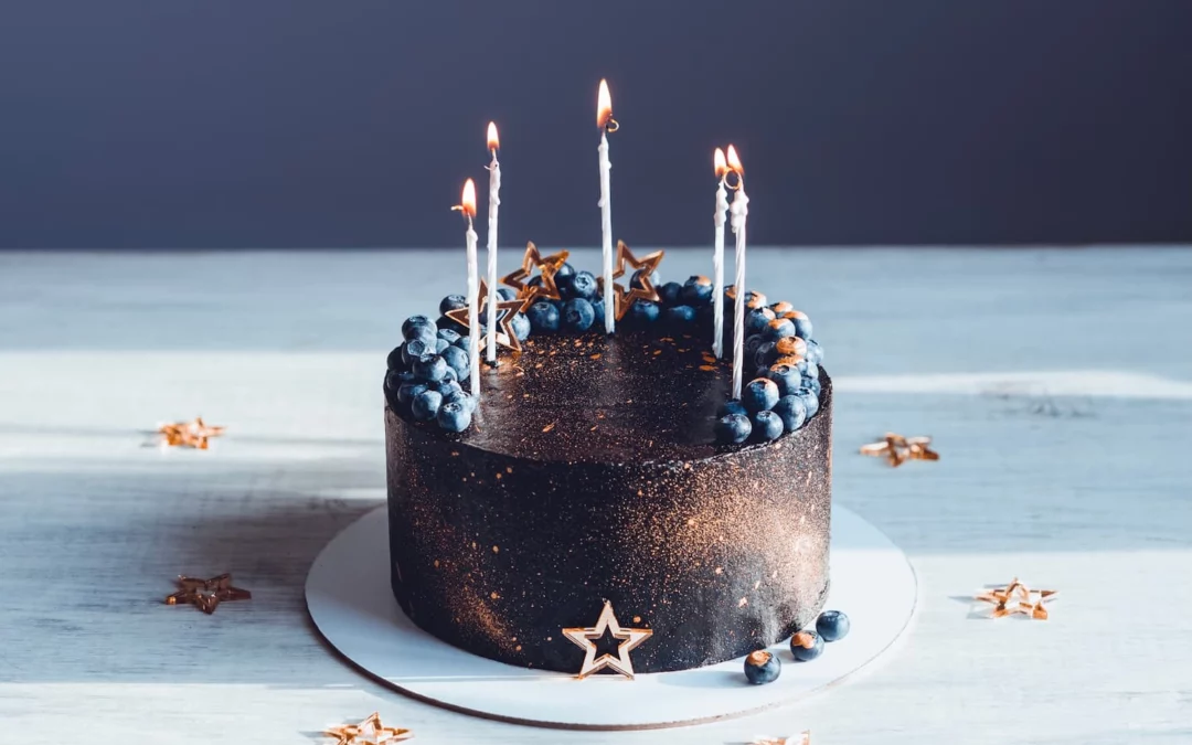 Celebrating our Veterinary Practice Management Team