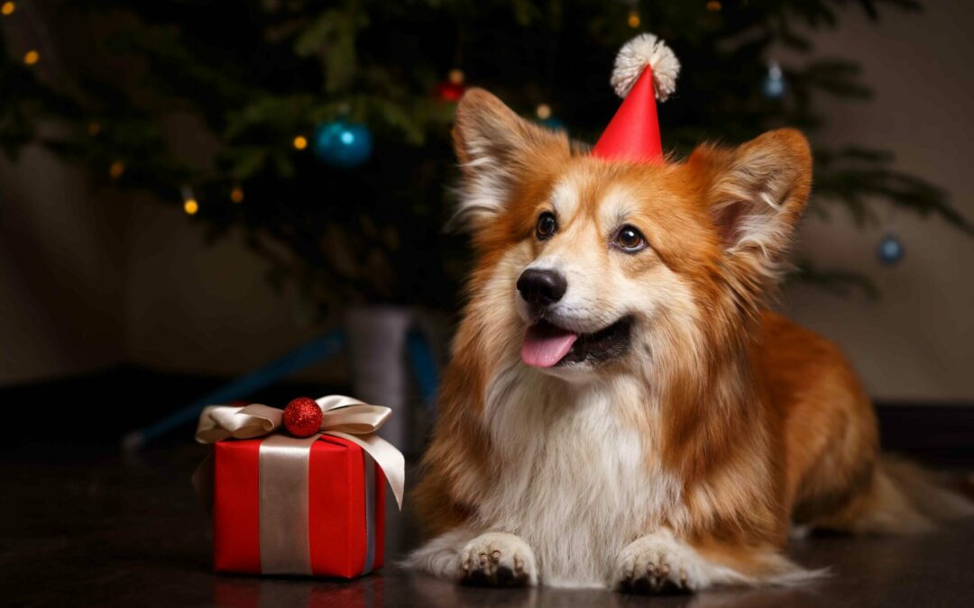Skip the ER Visit: 10 Holiday Dangers Pet Parents Should Avoid
