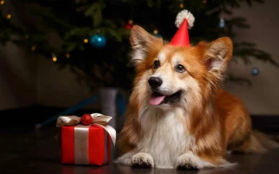 Skip the ER Visit: 10 Holiday Dangers Pet Parents Should Avoid