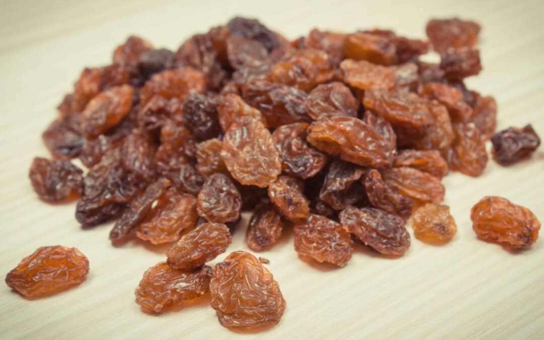 March Pet Safety Awareness: Top 10 Toxins to Avoid