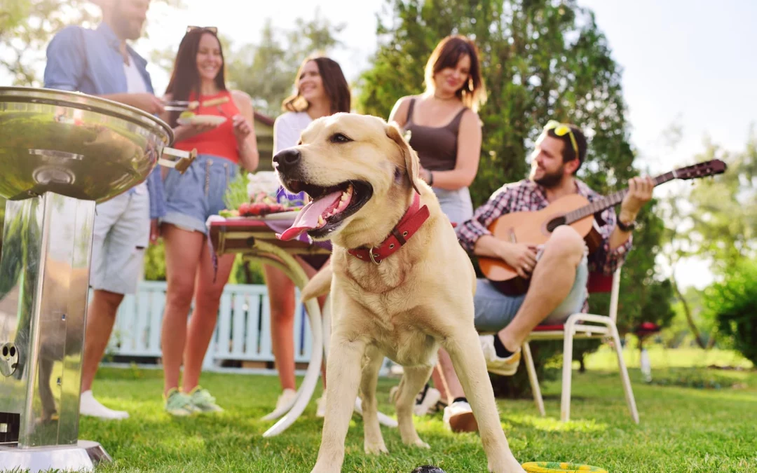 Foods at the Backyard BBQ That Can Land Your Dog at the Vet
