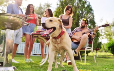 Foods at the Backyard BBQ That Can Land Your Dog at the Vet